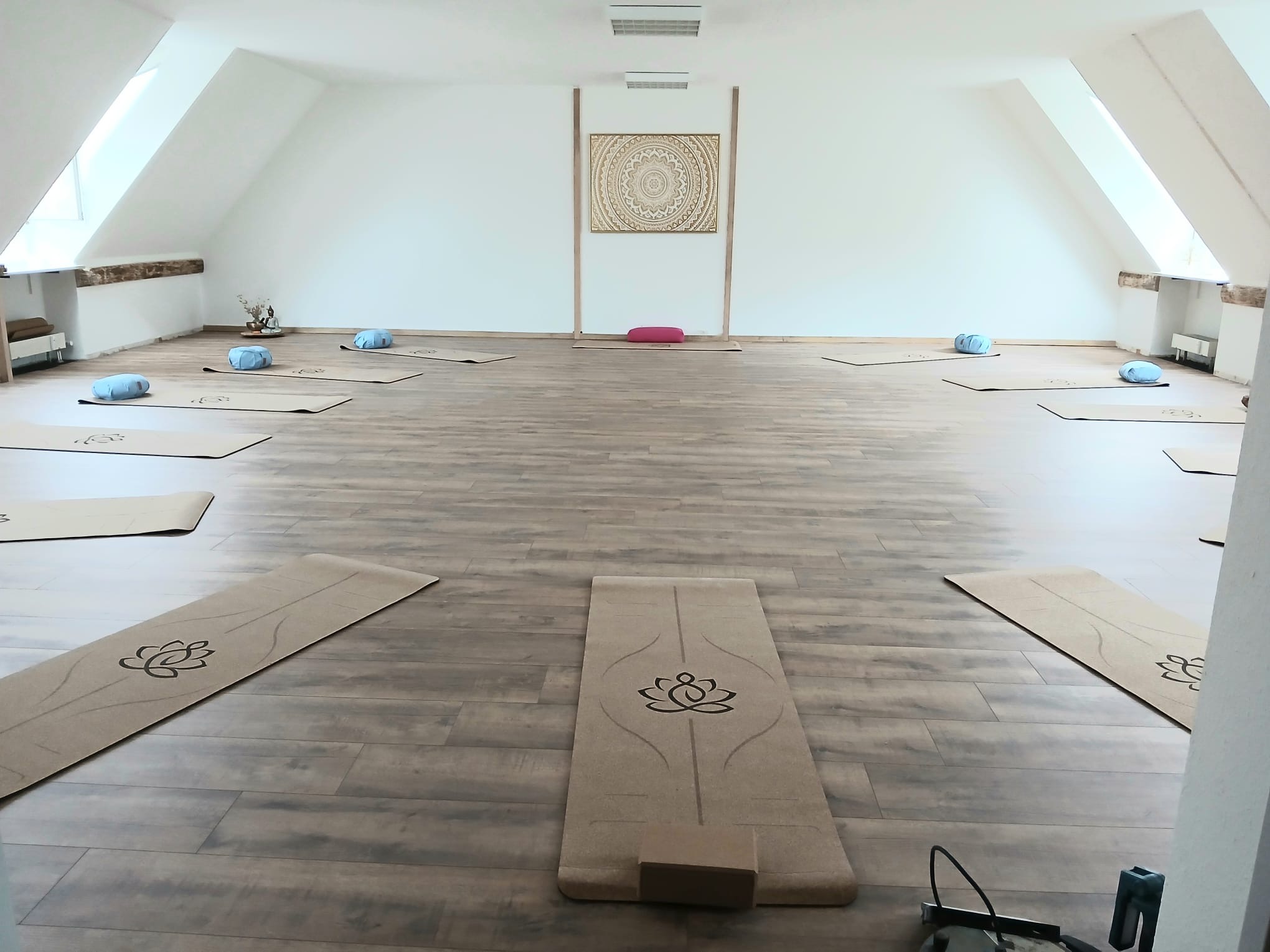 Yoga Waldkirch - Regula Buschmann