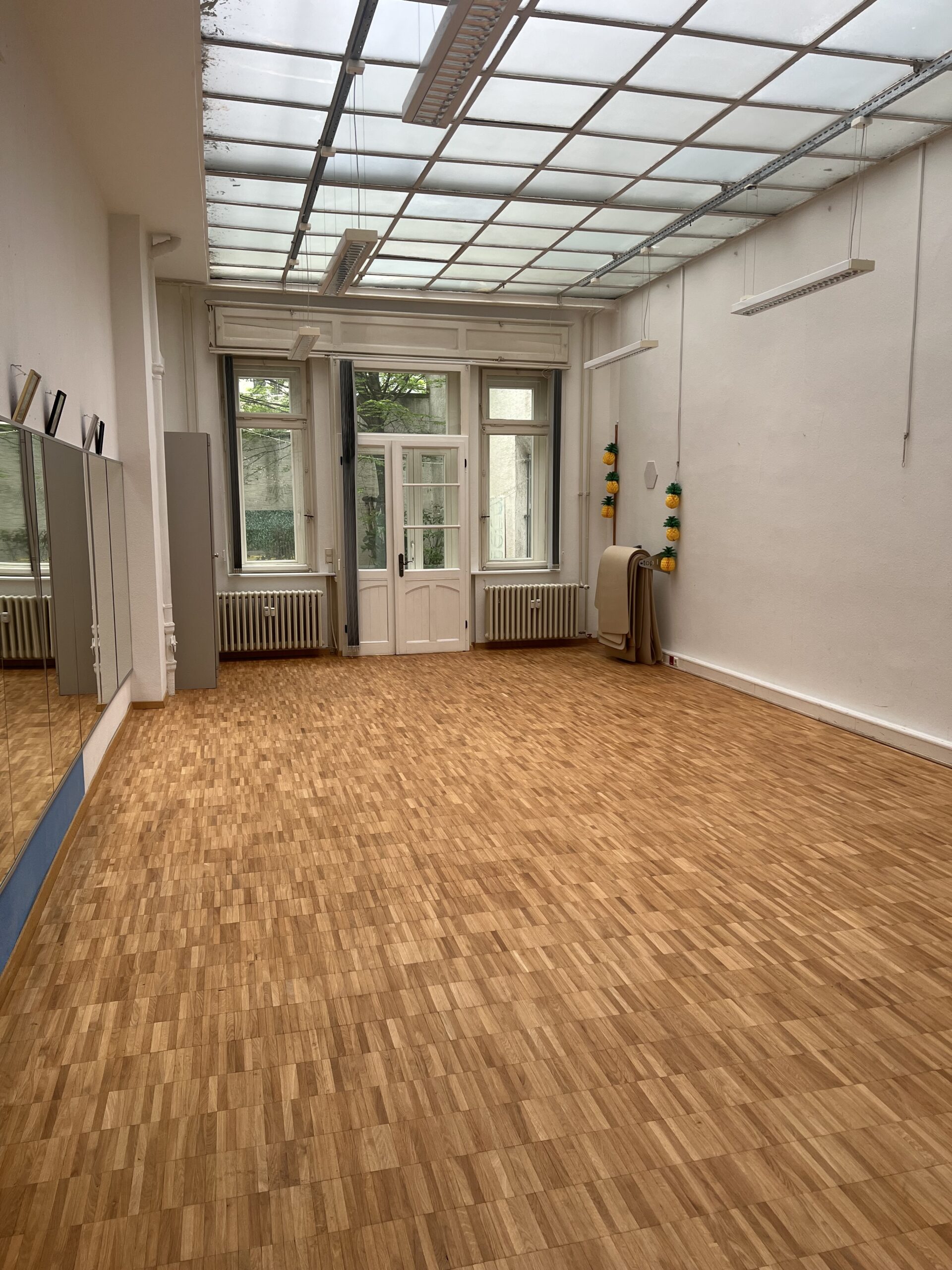 SanoGym Mannheim | carma Personal Training