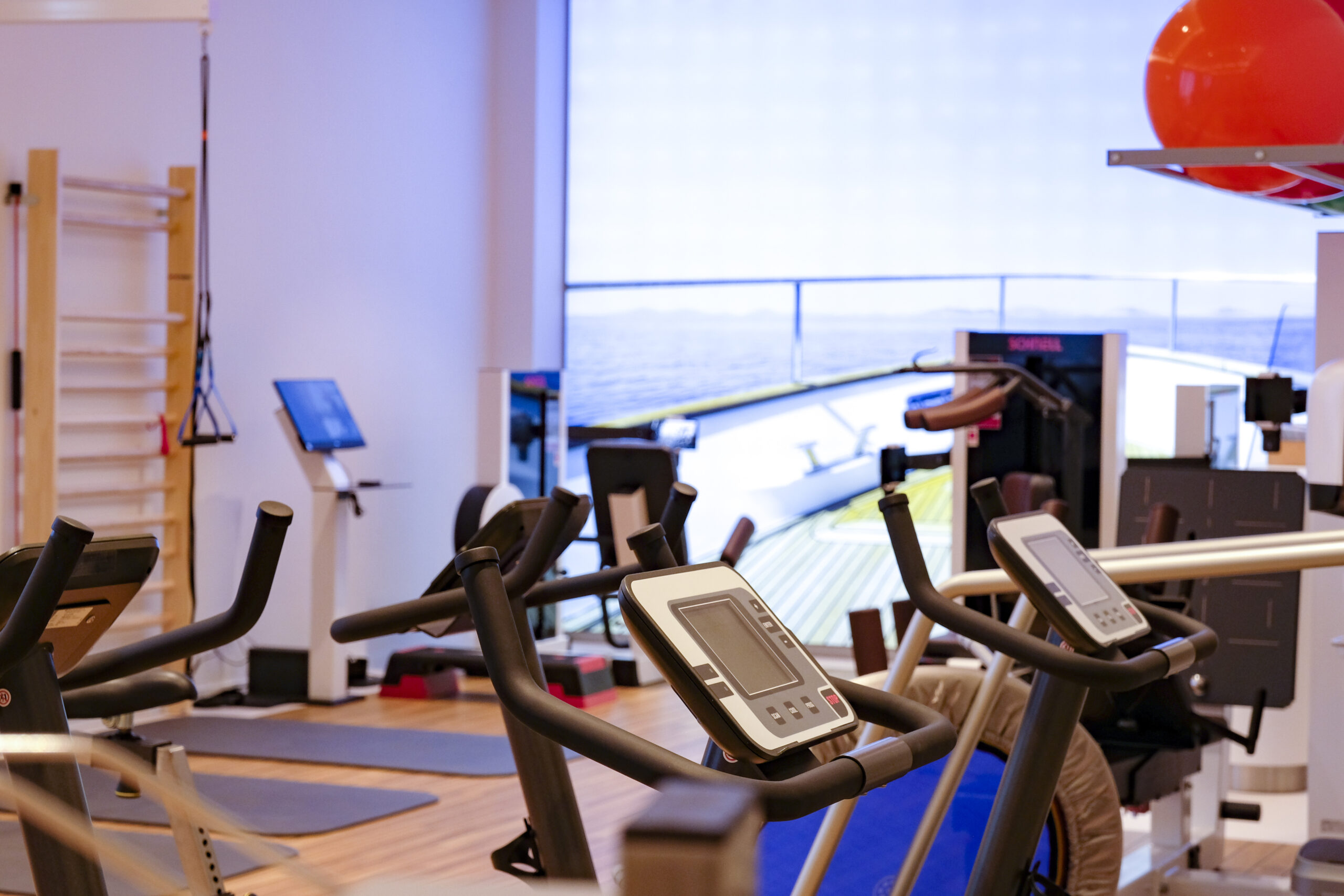 Kieler Institut für Trainingstherapie e.V. (KITT) im CITTI-PARK Kiel