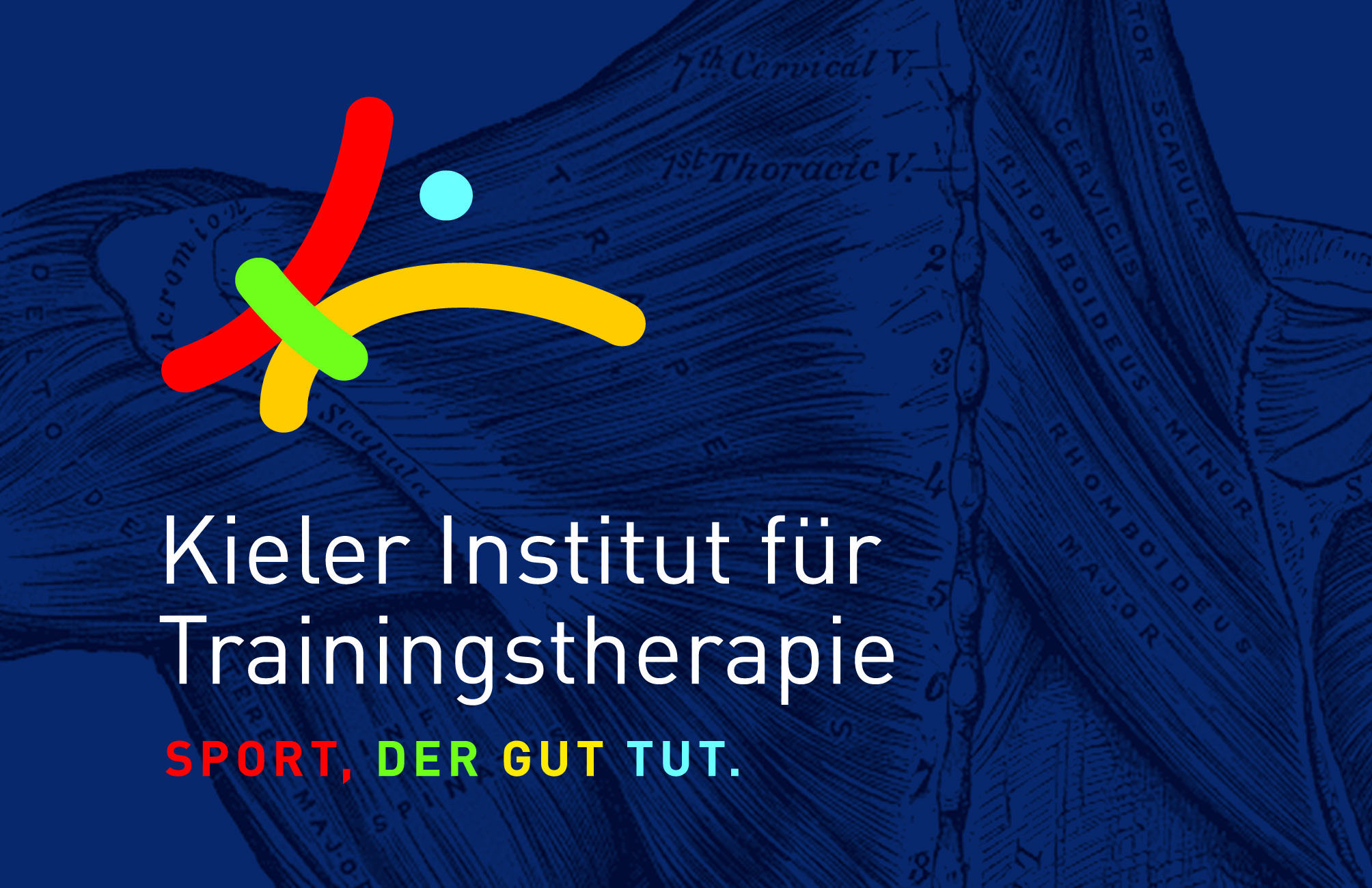 Kieler Institut für Trainingstherapie e.V. (KITT) im CITTI-PARK Kiel