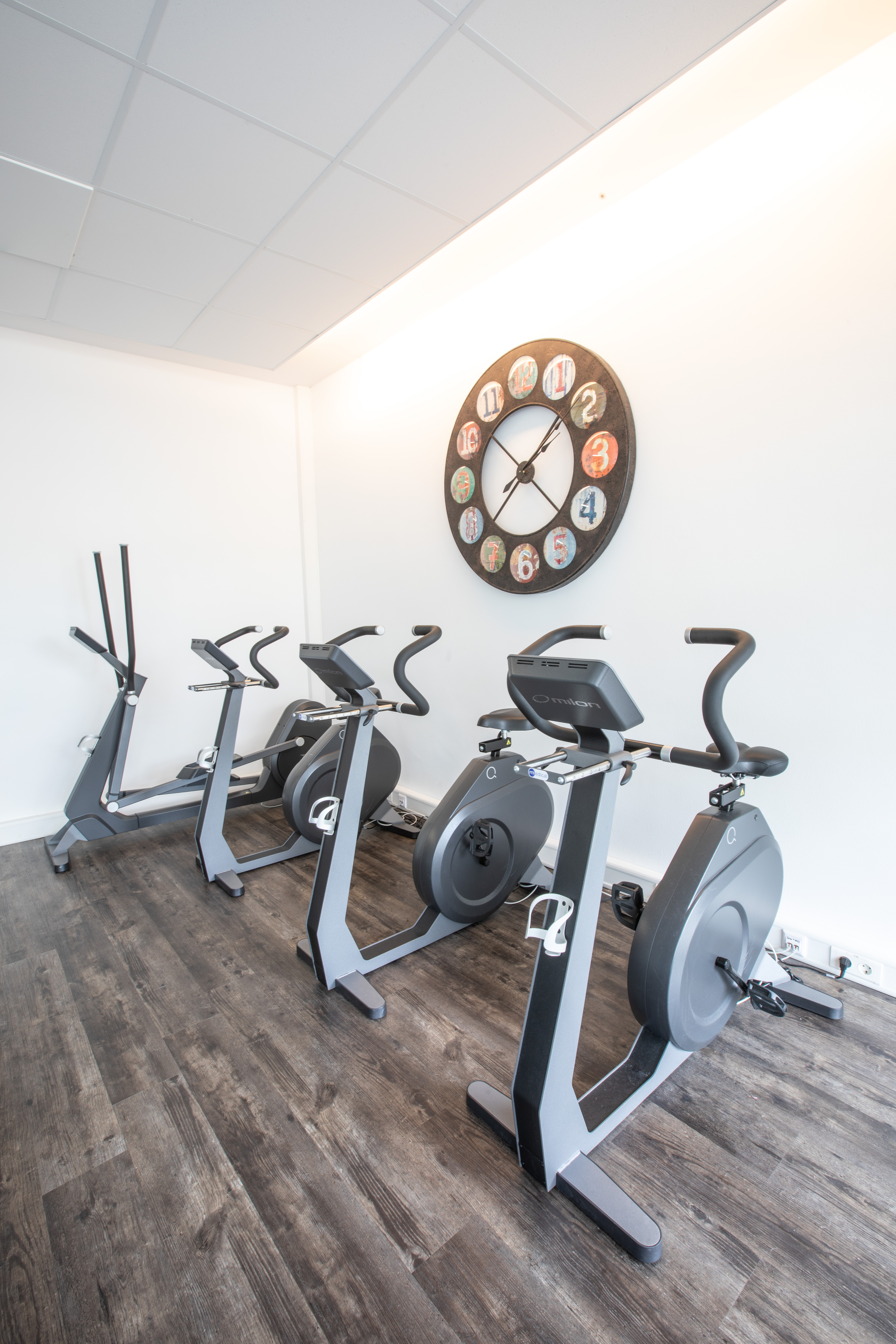 Therapie und Training Michael Auer