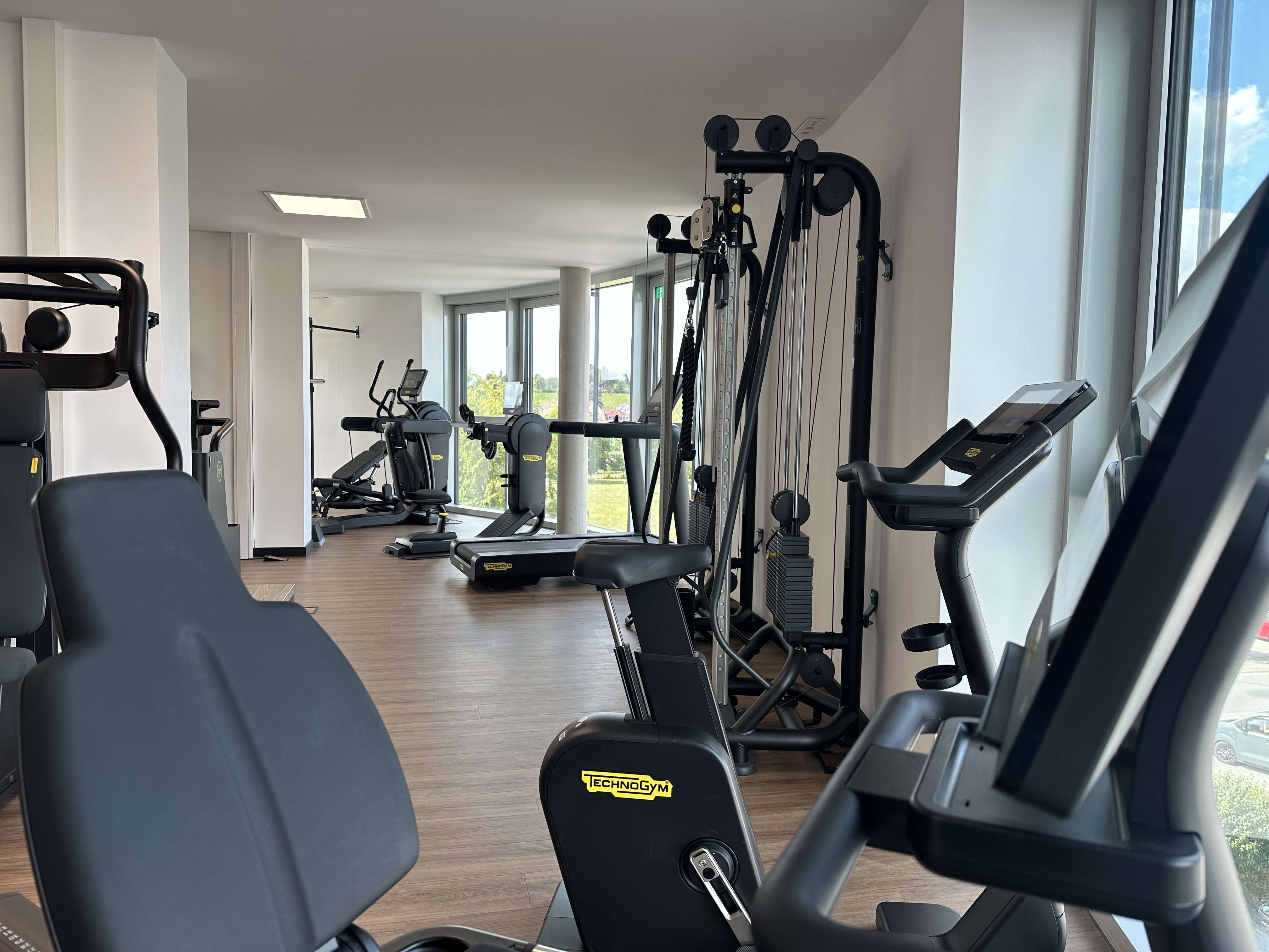 Momentum Bodenheim